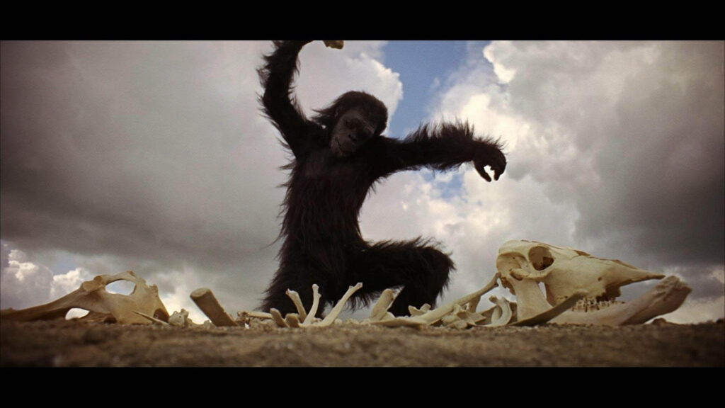 Il cinema di Stanley Kubrick - La scimmia scopre la violenza in “2001: Odissea nello spazio” (1968)